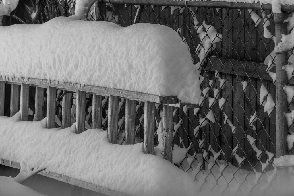 Snow on Ladder & fence by jbritt