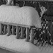 Snow on Ladder & fence by jbritt