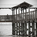 Pier at Low Low Tide! by rickster549
