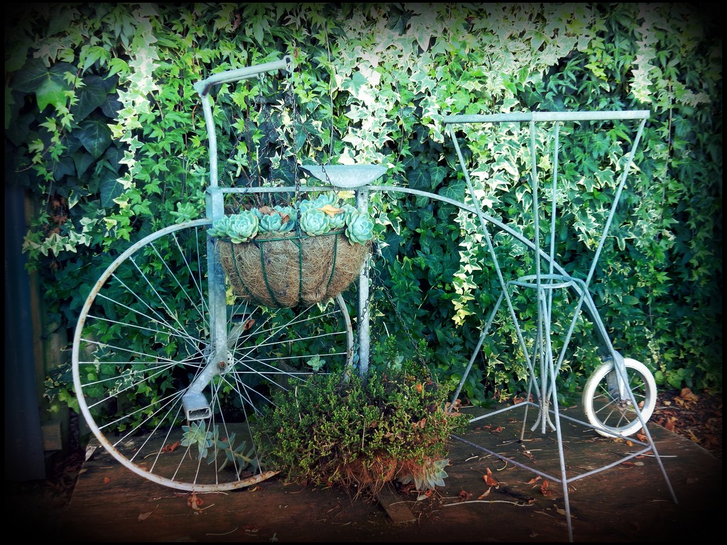 bike planter by yorkshirekiwi
