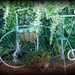 bike planter by yorkshirekiwi