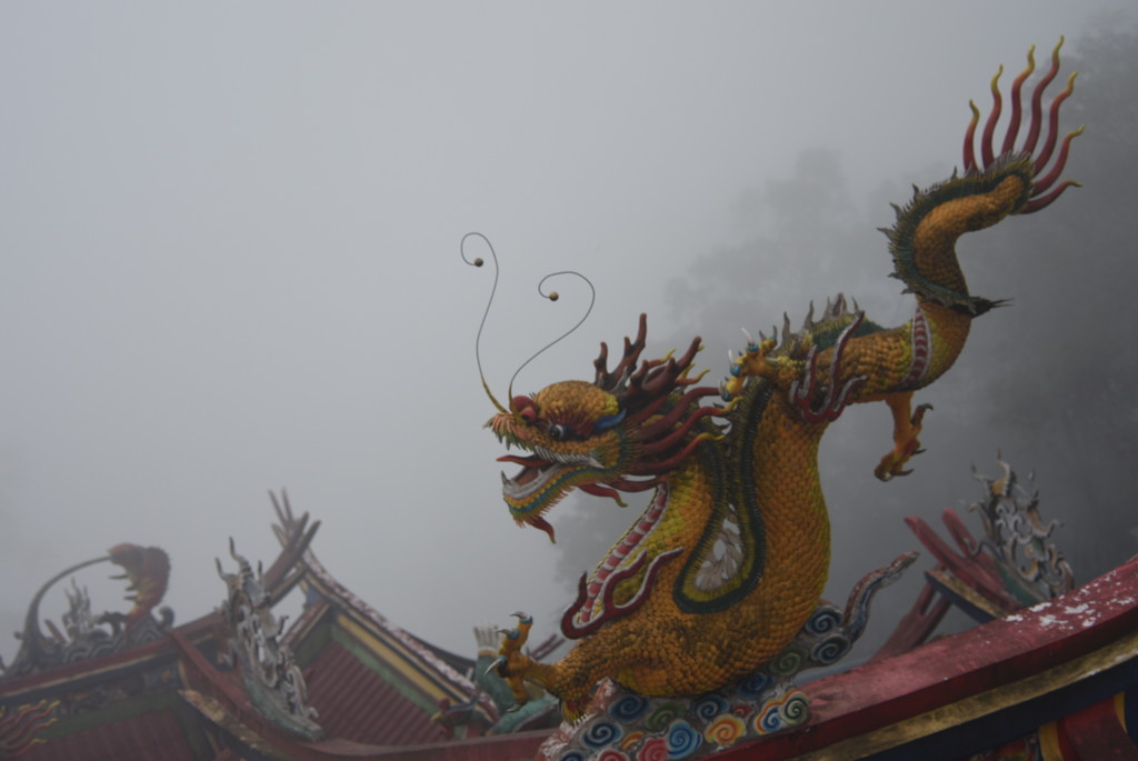 Dragon in the mist by helenm2016