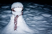 1st Dec 2010 - Suman's snowman