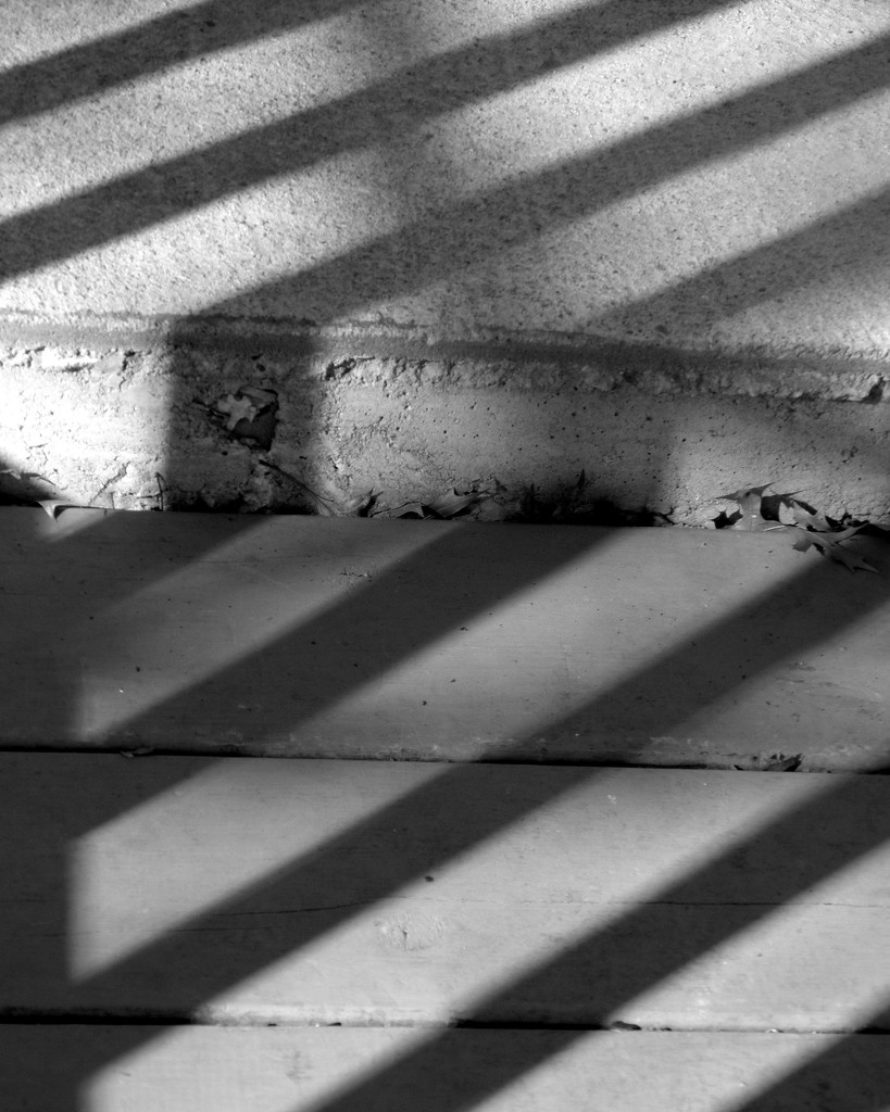 Line Shadows by daisymiller