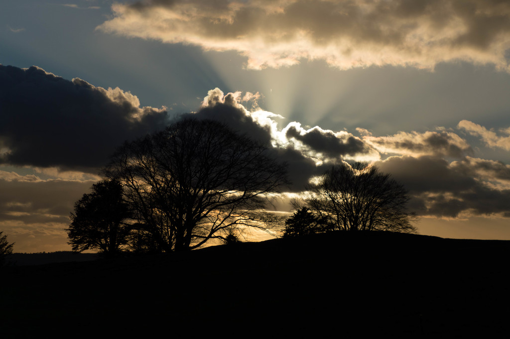 Evening skies..... by susie1205