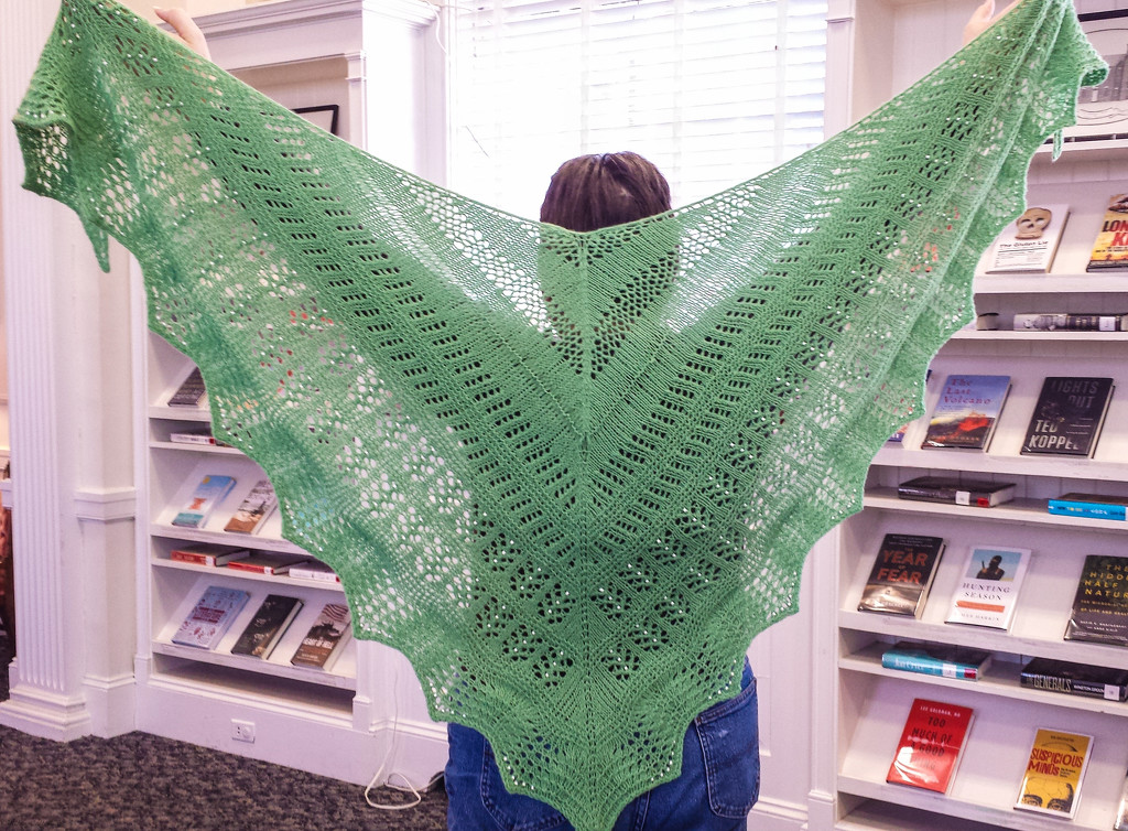 Elsie's green shawl by randystreat