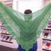 Elsie's green shawl by randystreat