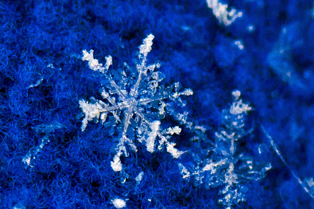 snowflake by dianen