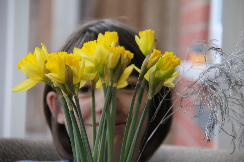 March by daffodill