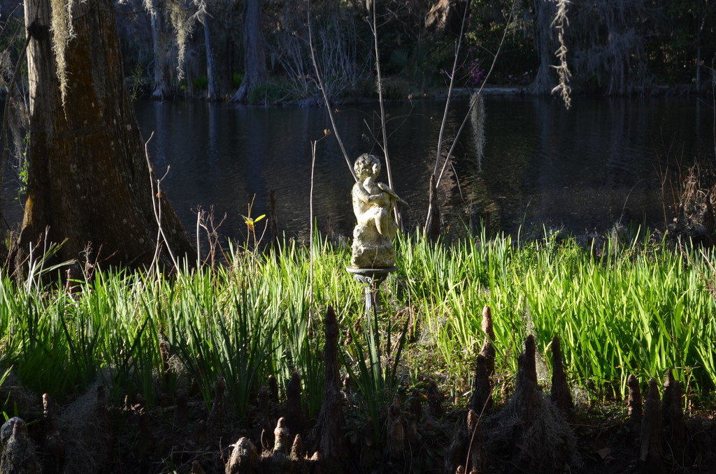 Statue in sunlight, Magnolia Gardens, Charleston,  SC by congaree