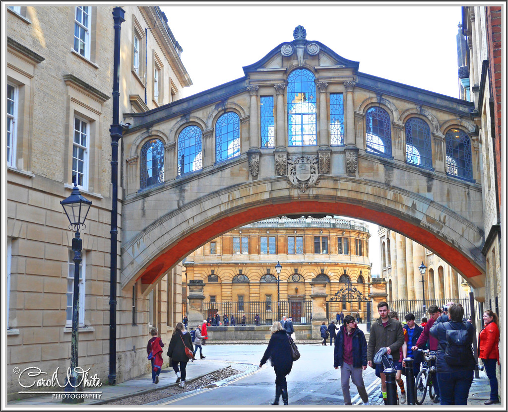 The Bridge Of Sighs And Bodleian Library, Oxford by carolmw