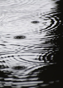 5th Mar 2016 - Ripples and drops