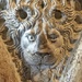 Lion by cocobella
