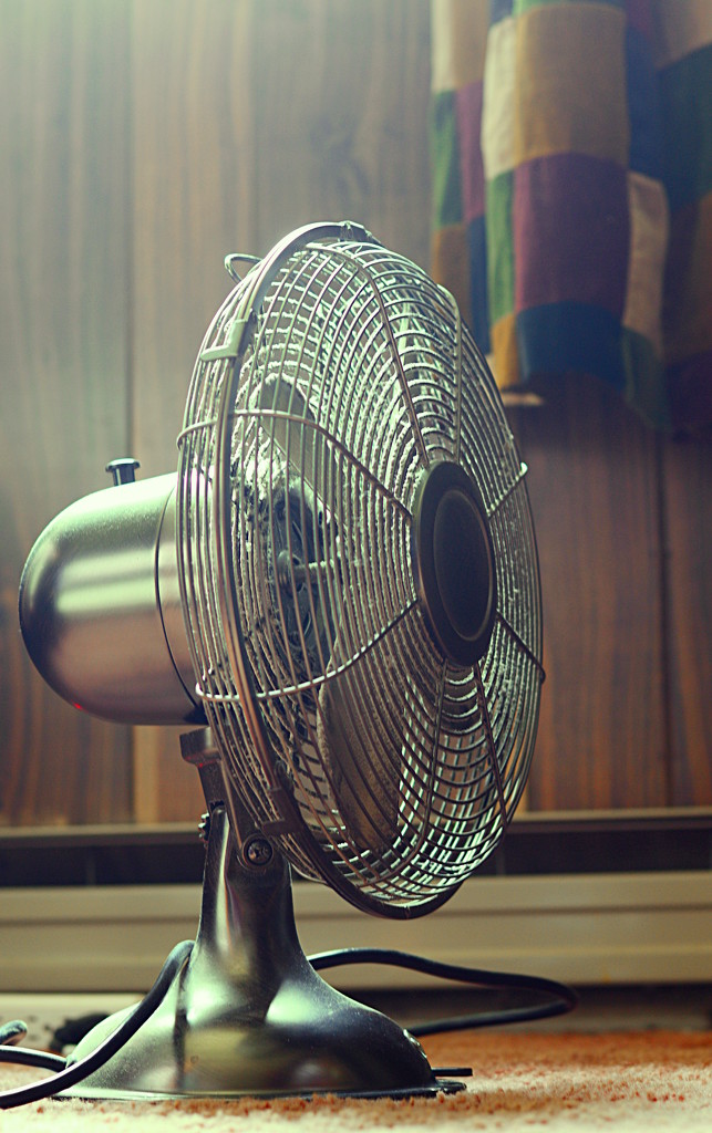 The Fan by francoise