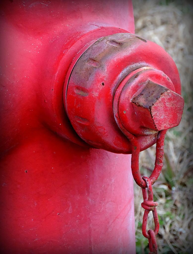 Red Fire Hydrant by homeschoolmom