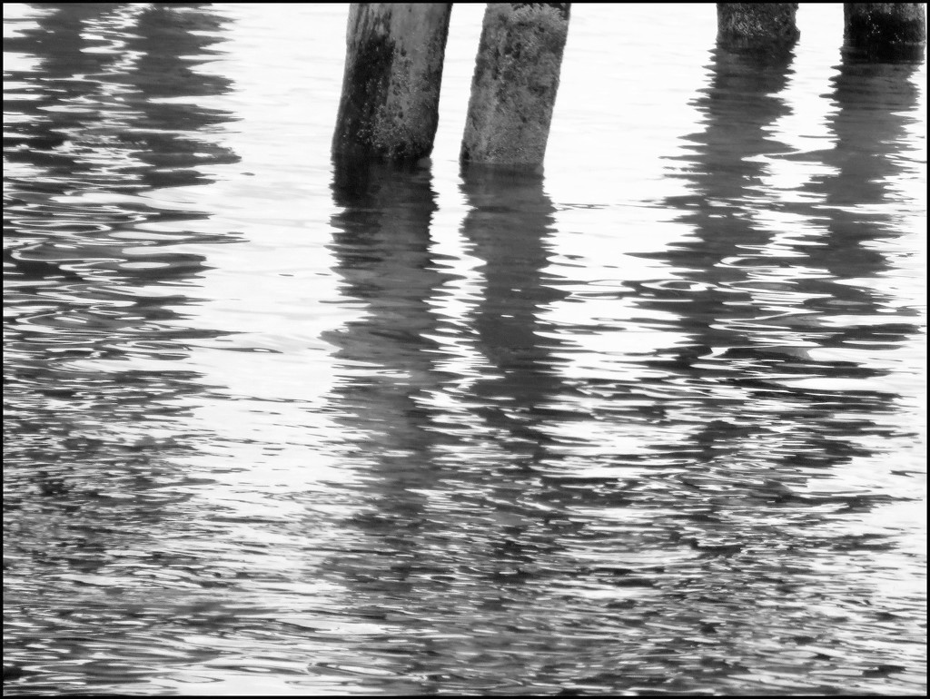 under the jetty by cruiser