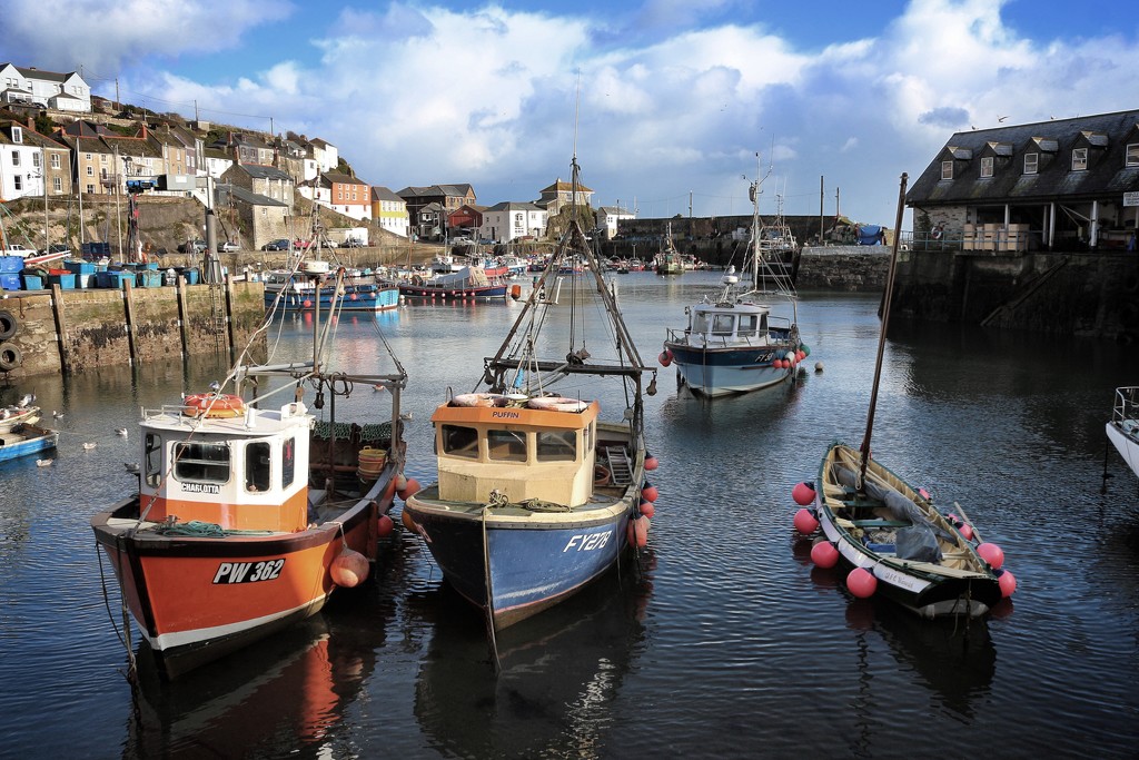 More boats in Mevagissey by swillinbillyflynn