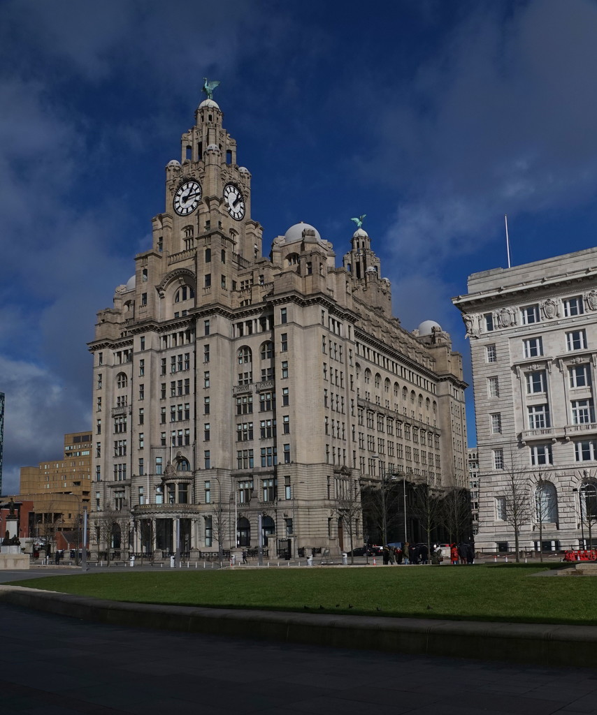 LIVERPOOL ROYAL LIVER BUILDING by markp