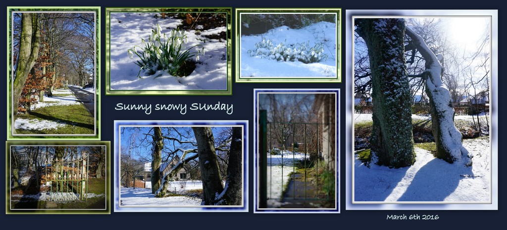 Sunny Snowy Sunday by sarah19