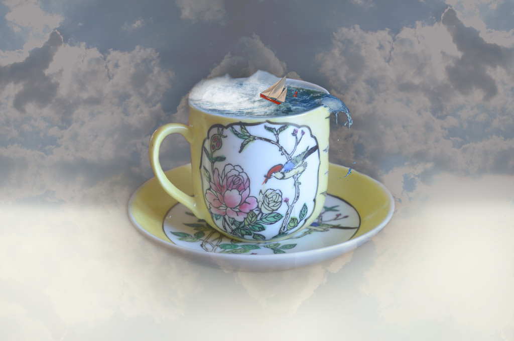 Storm in a Teacup by salza