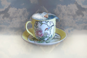 6th Mar 2016 - Storm in a Teacup