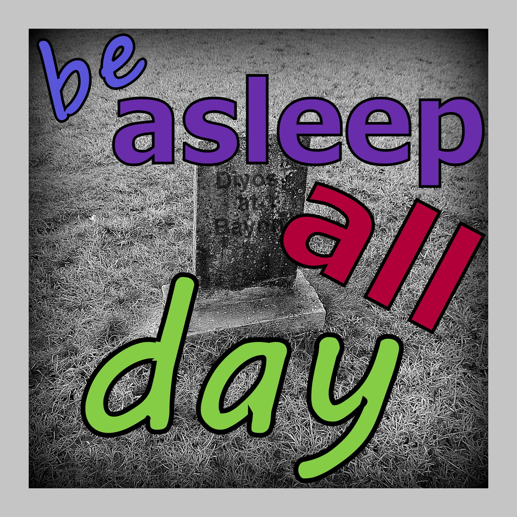 Be asleep all day by homeschoolmom