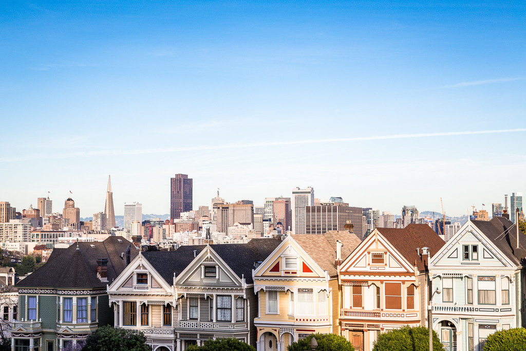 Painted Ladies by pflaume