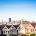 Painted Ladies by pflaume