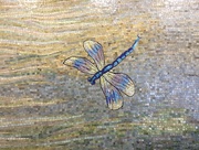 3rd Mar 2016 - Dragonfly mosaic 