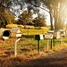 Roadside mailboxes  by leggzy