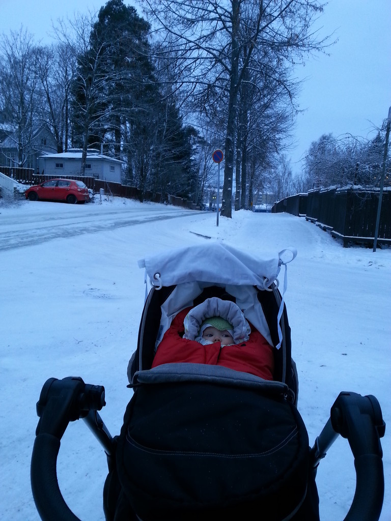 Walking the baby in winter by annelis