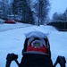 Walking the baby in winter by annelis