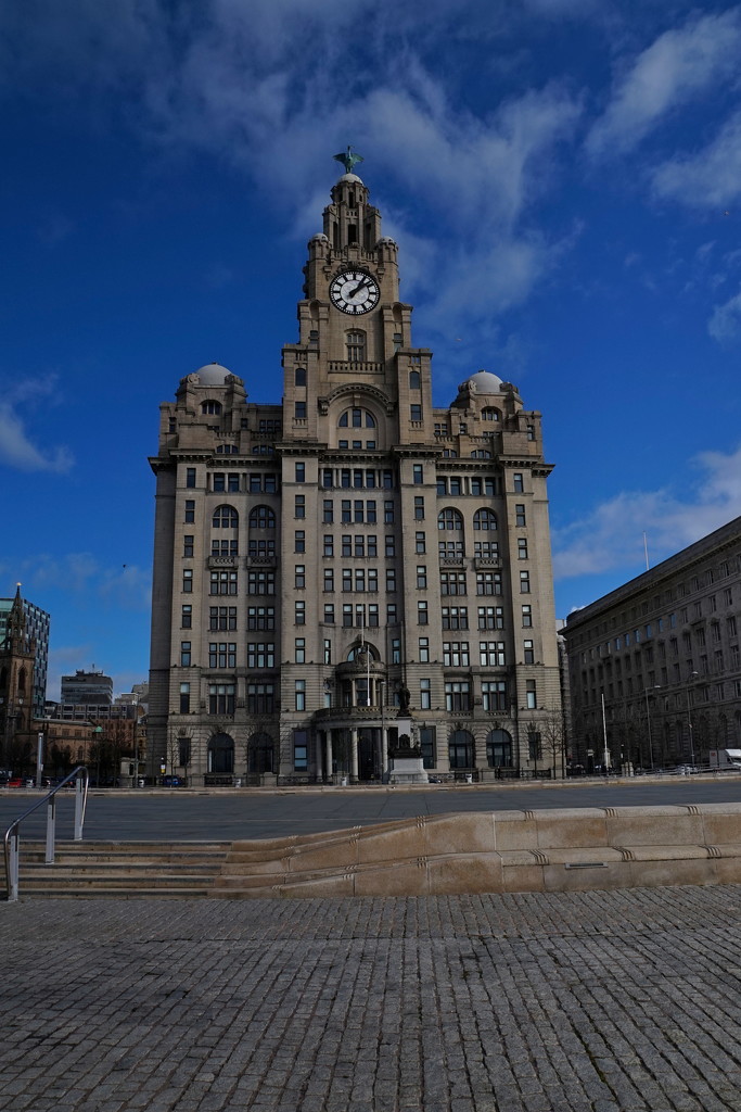 ROYAL LIVER BUILDING by markp