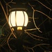 Lantern Glow by harbie