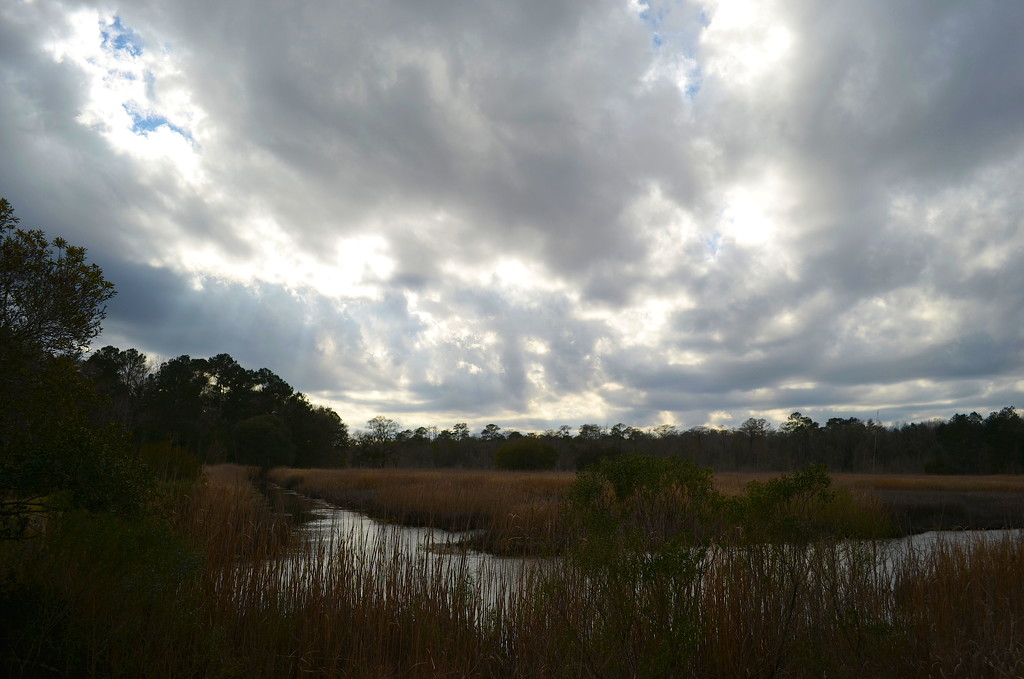 Afternoon skies over the wetlands at Caw Caw Interpretive Park in Ravenel, SC, on a windy day with cloud-filled skies. by congaree