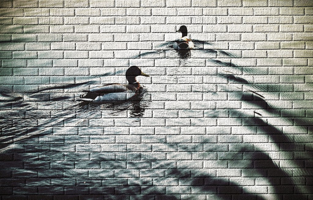 Ducks/Bricks, sort of thing.. by jack4john