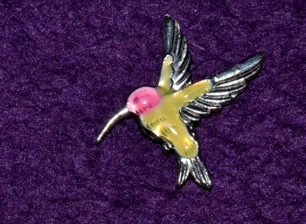 Hummingbird by arkensiel