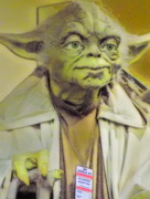 3rd Jun 2015 - Yoda