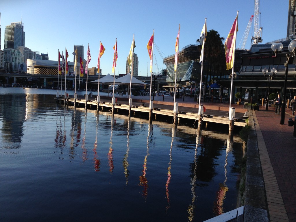 Morning in Darling Harbour by pusspup