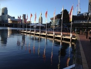 9th Mar 2016 - Morning in Darling Harbour