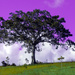 Treescape by jeneurell