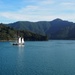 Sailing into Picton by happypat