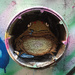 Drain Toad by robotvulture