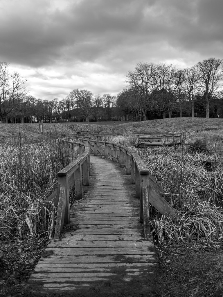 Walk way through the bog garden by frequentframes