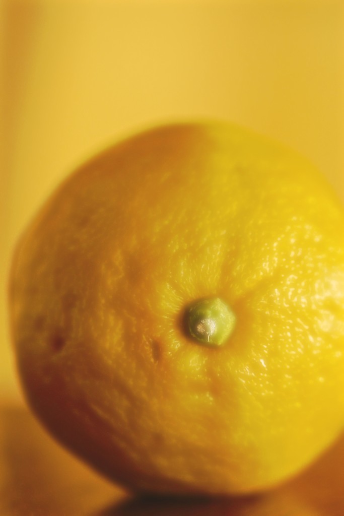 Lemony  by mzzhope