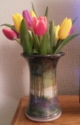 9th Mar 2016 - Fresh tulips from a lovely friend 