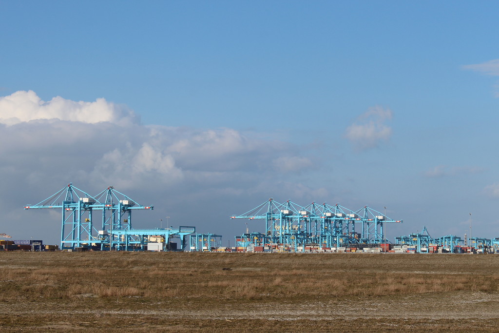 A view on the container terminals. by pyrrhula