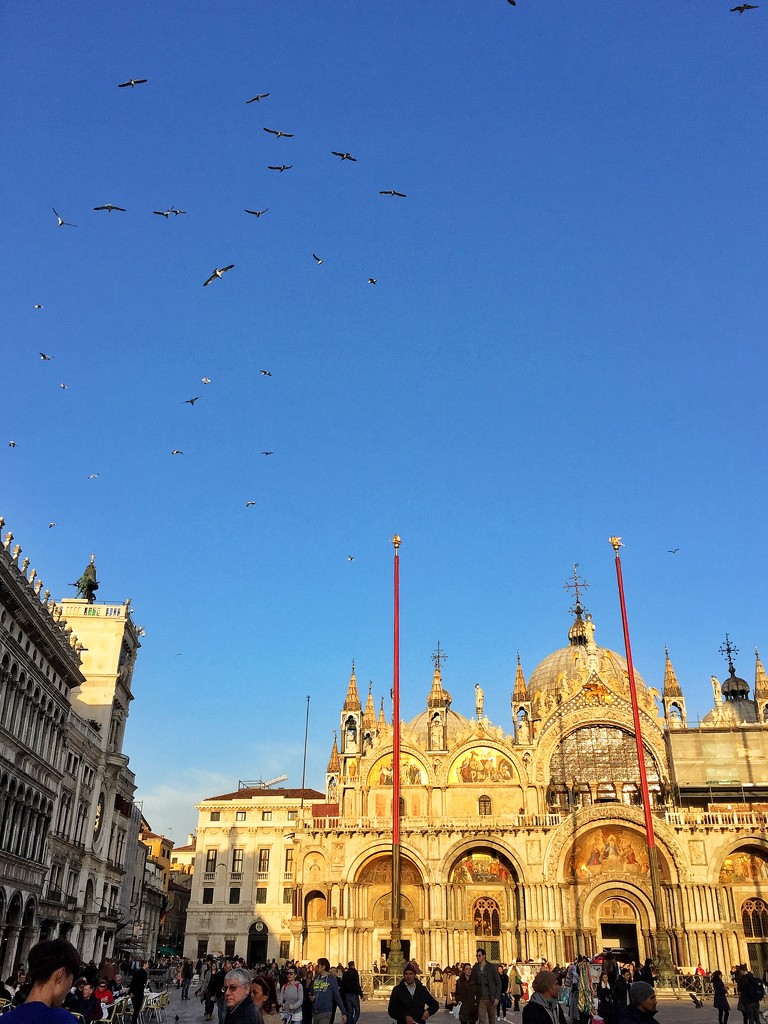 San Marco and the pigeons by cocobella