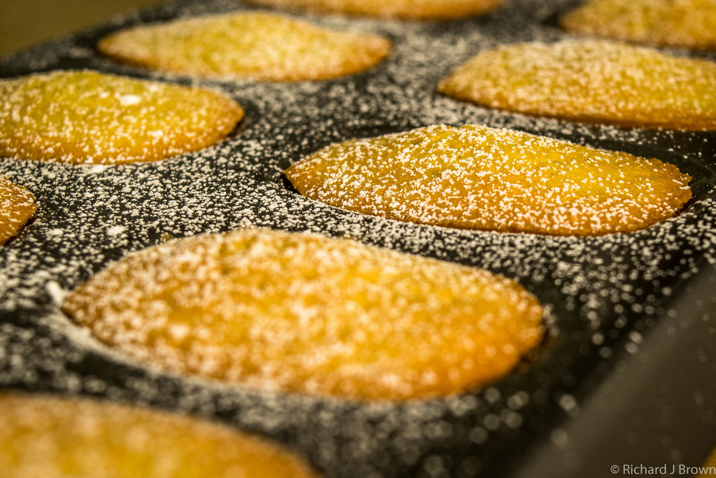 Dusted madelines  by rjb71