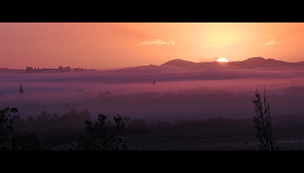 sunrise and mist by yorkshirekiwi